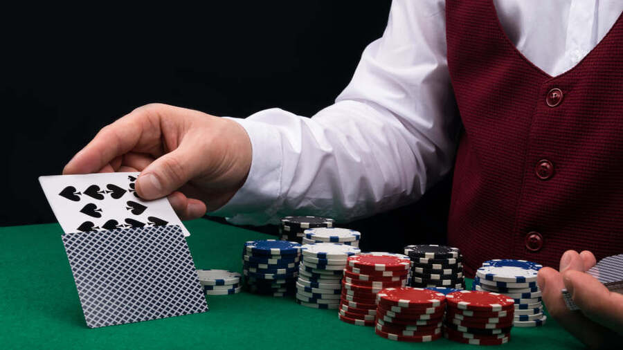 jogo do coelho casino