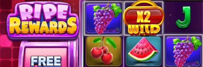 casino slot big win