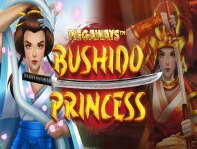 plataformas de slots que pagam dinheiro de verdade