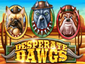 jogo de chaves gedore