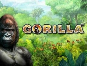 100 free bonus casino